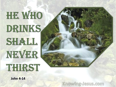 John 4:14 He Who Drinks Will Never Thirst Again (green)